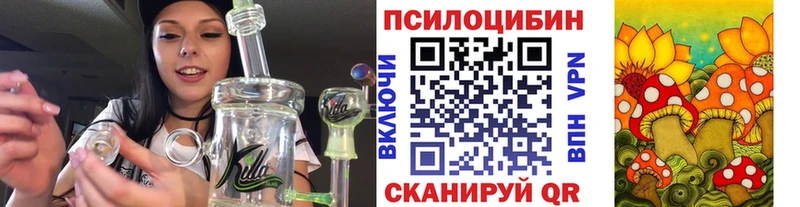 Псилоцибиновые грибы прущие грибы где купить наркоту Кандалакша